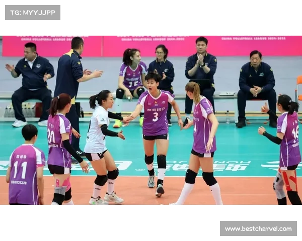 今日女排球赛事,今日女排比赛直播视频