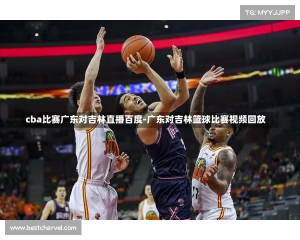 体育赛事篮球直播在线观看