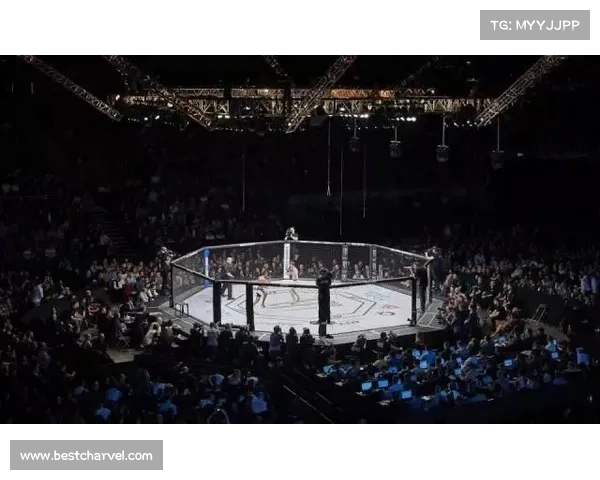 日本的格斗赛事(日本格斗赛事pride和ufc)