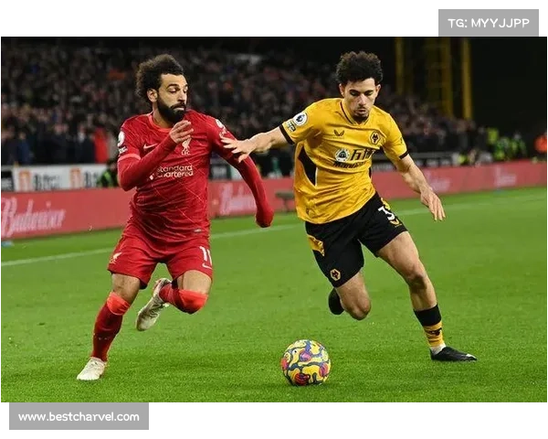 英超直播2020-2021